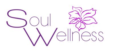 logo Soul Wellness Experience