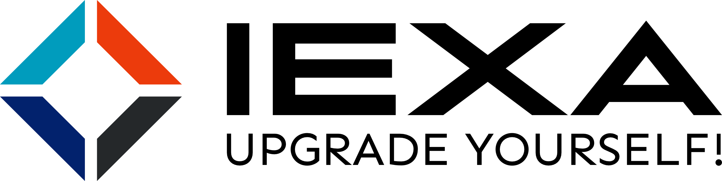 logo IEXA ACADEMY