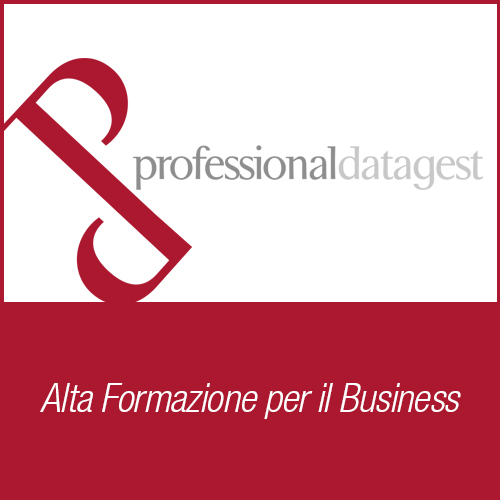 logo Professional Datagest