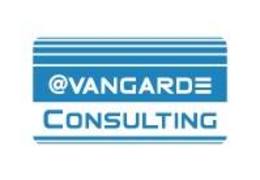 logo Avangarde Consulting srl